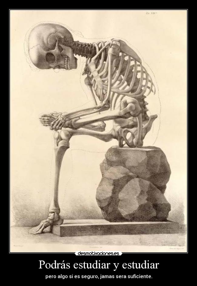 carteles medicina desmotivaciones