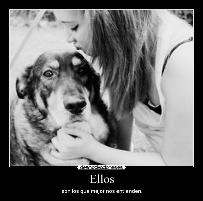 Ellos - son los que mejor nos entienden.