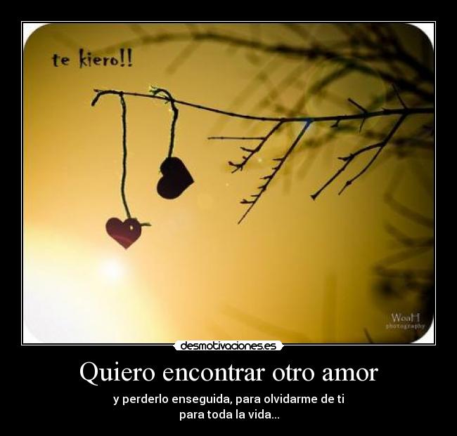 carteles amor decepciones desmotivaciones