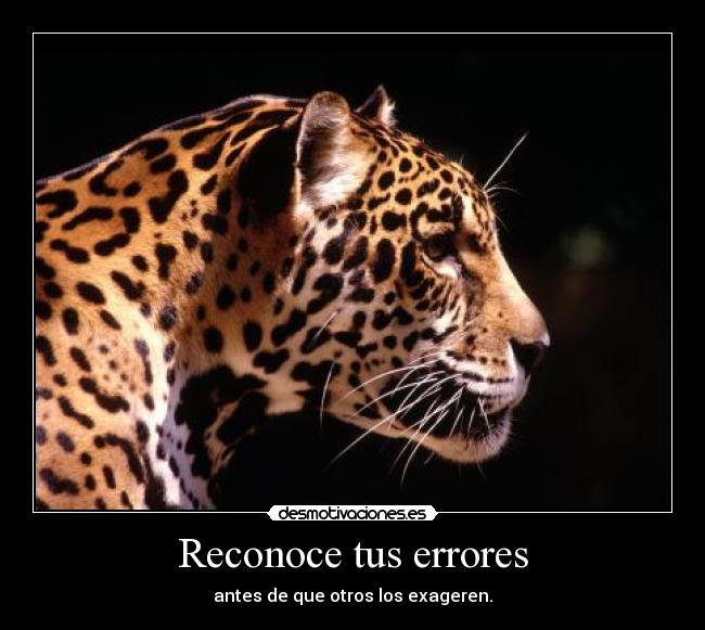 carteles dios bendiga desmotivaciones