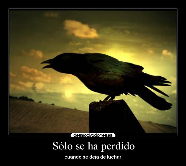 Sólo se ha perdido -