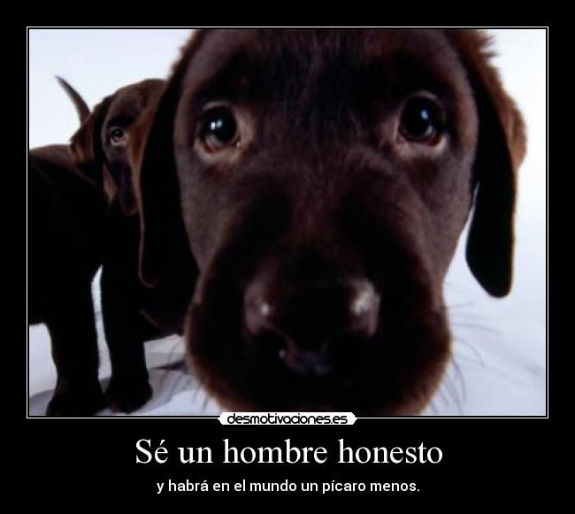 carteles dios bendiga desmotivaciones