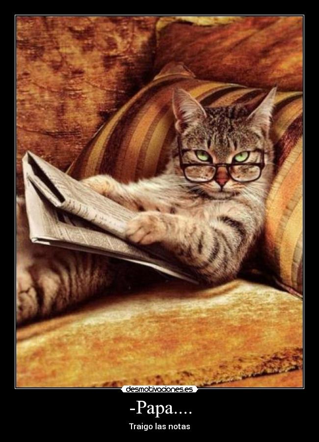 -Papa.... - Traigo las notas