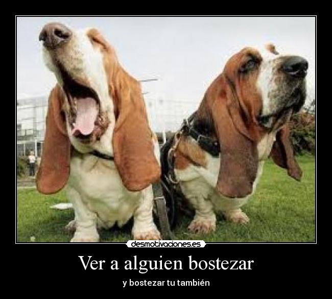 Ver a alguien bostezar -