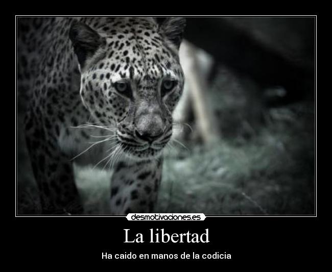 La libertad - Ha caido en manos de la codicia