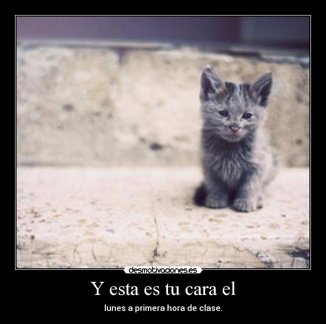 Y esta es tu cara el - lunes a primera hora de clase.