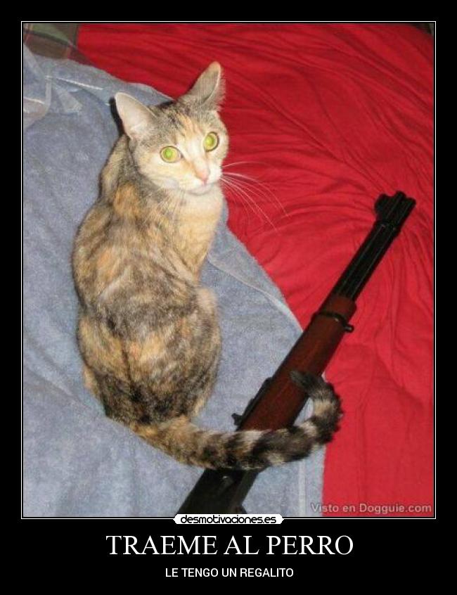 TRAEME AL PERRO - LE TENGO UN REGALITO