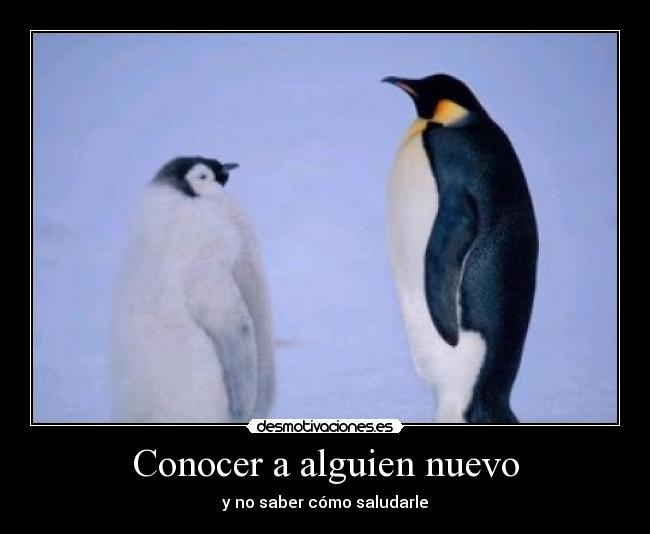 Conocer a alguien nuevo - 