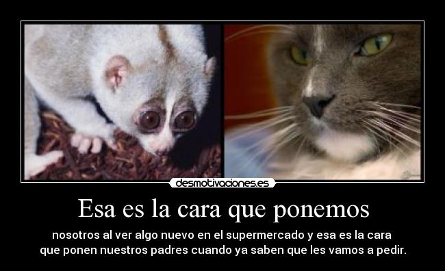 Esa es la cara que ponemos -