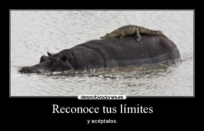 Reconoce tus límites - y acéptalos.