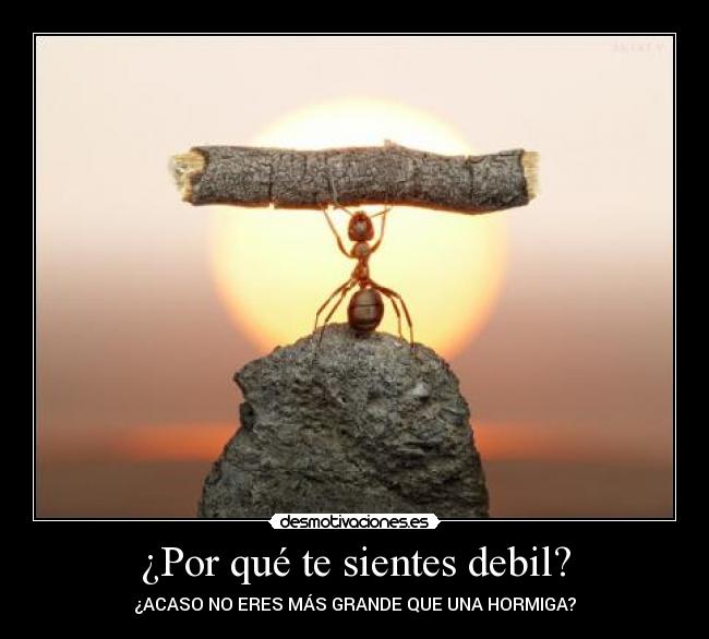 ¿Por qué te sientes debil? - 