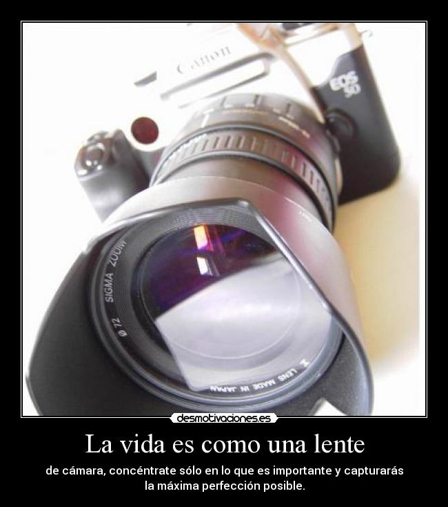 La vida es como una lente - de cámara, concéntrate sólo en lo que es importante y capturarás
la máxima perfección posible.