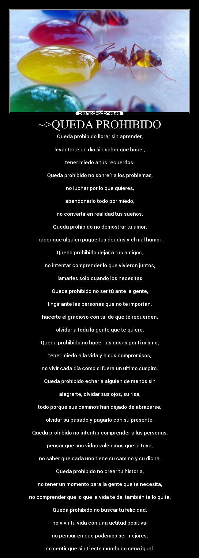 ~>QUEDA PROHIBIDO - Queda prohibido llorar sin aprender,
levantarte un día sin saber que hacer,
tener miedo a tus recuerdos.
Queda prohibido no sonreír a los problemas,
no luchar por lo que quieres,
abandonarlo todo por miedo,
no convertir en realidad tus sueños.
Queda prohibido no demostrar tu amor,
hacer que alguien pague tus deudas y el mal humor.
Queda prohibido dejar a tus amigos,
no intentar comprender lo que vivieron juntos,
llamarles solo cuando los necesitas.
Queda prohibido no ser tú ante la gente,
fingir ante las personas que no te importan,
hacerte el gracioso con tal de que te recuerden,
olvidar a toda la gente que te quiere.
Queda prohibido no hacer las cosas por ti mismo,
tener miedo a la vida y a sus compromisos,
no vivir cada día como si fuera un ultimo suspiro.
Queda prohibido echar a alguien de menos sin
alegrarte, olvidar sus ojos, su risa,
todo porque sus caminos han dejado de abrazarse,
olvidar su pasado y pagarlo con su presente.
Queda prohibido no intentar comprender a las personas,
pensar que sus vidas valen mas que la tuya,
no saber que cada uno tiene su camino y su dicha.
Queda prohibido no crear tu historia,
no tener un momento para la gente que te necesita,
no comprender que lo que la vida te da, también te lo quita.
Queda prohibido no buscar tu felicidad,
no vivir tu vida con una actitud positiva,
no pensar en que podemos ser mejores,
no sentir que sin ti este mundo no sería igual.