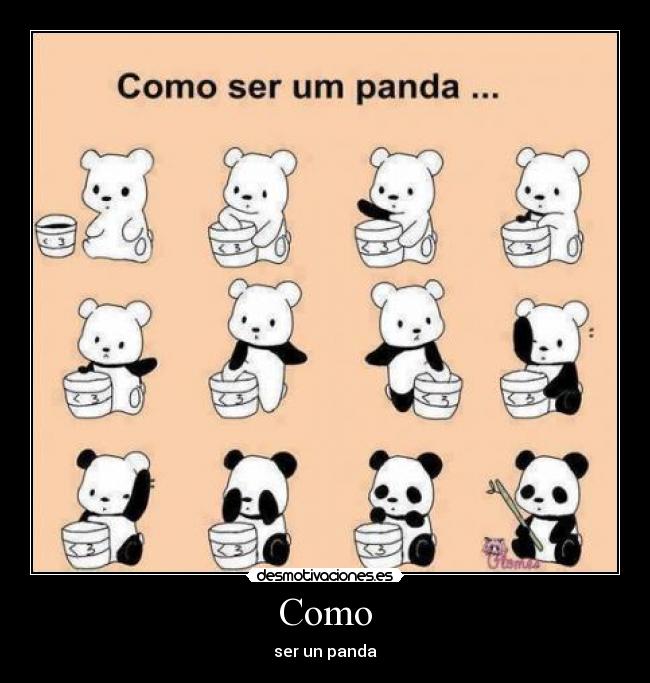 Como - ser un panda