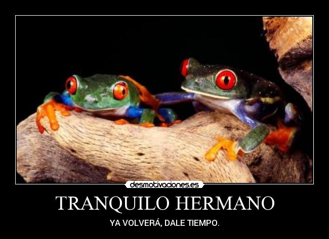TRANQUILO HERMANO - YA VOLVERÁ, DALE TIEMPO.
