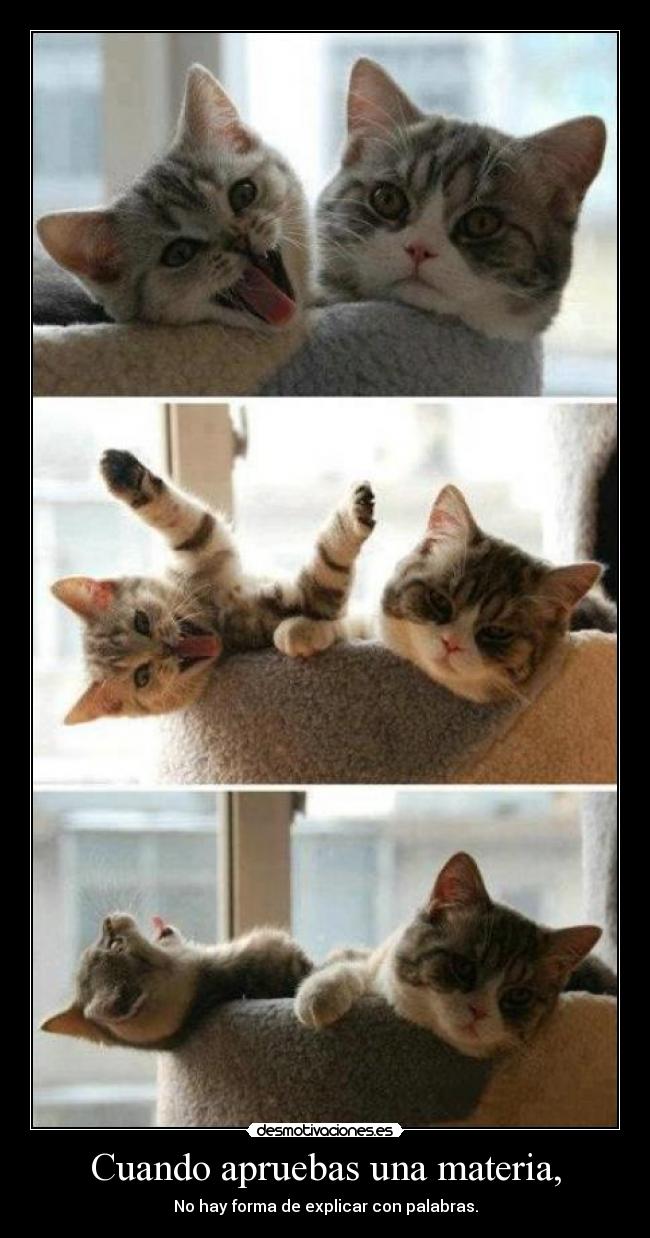 Cuando apruebas una materia, - No hay forma de explicar con palabras.