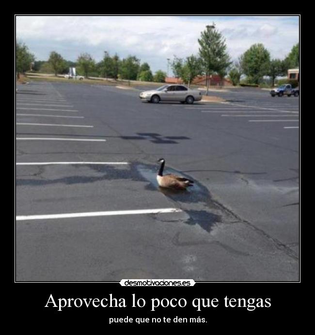 Aprovecha lo poco que tengas - puede que no te den más.