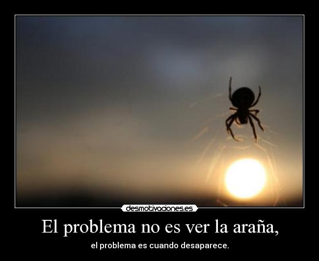 El problema no es ver la araña, -
