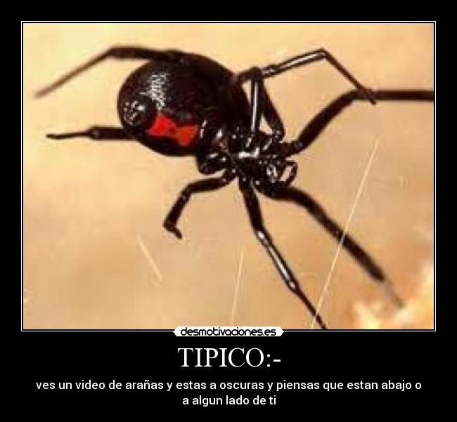 TIPICO:- -