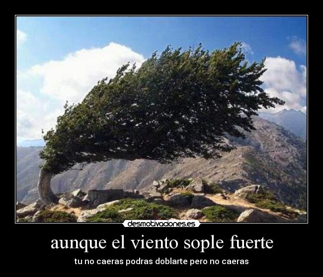 aunque el viento sople fuerte - tu no caeras podras doblarte pero no caeras