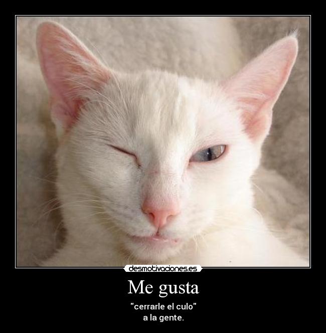 Me gusta - cerrarle el culo
a la gente.