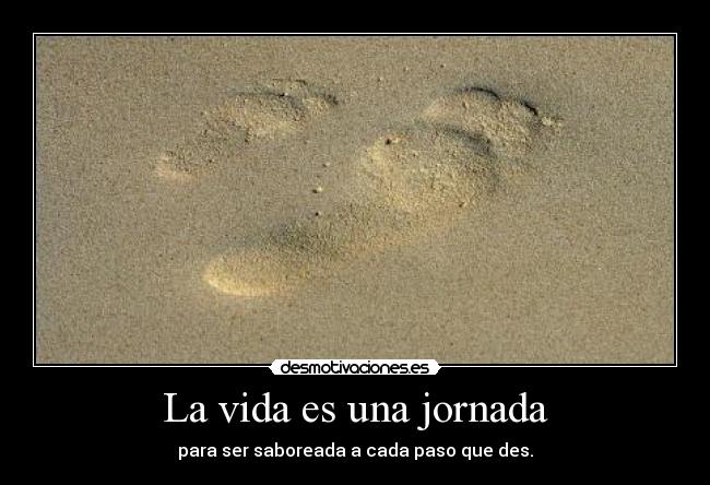 La vida es una jornada -