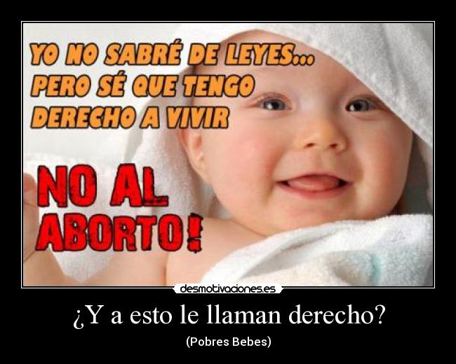 ¿Y a esto le llaman derecho? - 