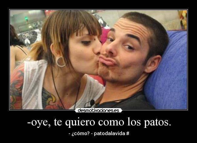 -oye, te quiero como los patos. - - ¿cómo? - patodalavida♥#