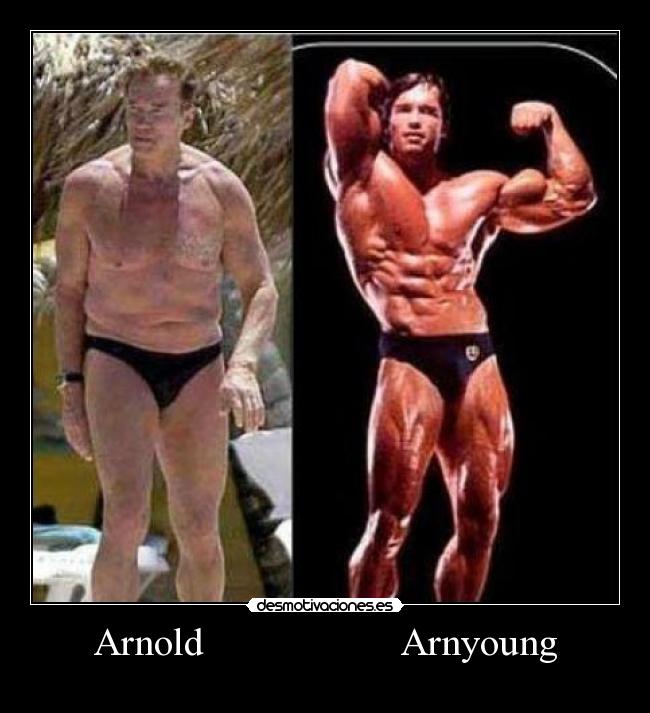 Arnold                    Arnyoung - 