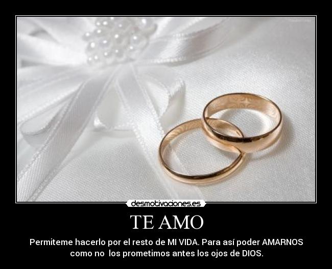 carteles amo desmotivaciones