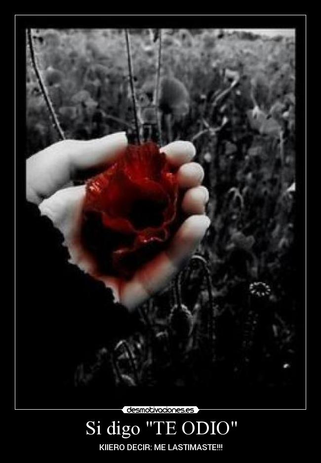 Si digo TE ODIO -