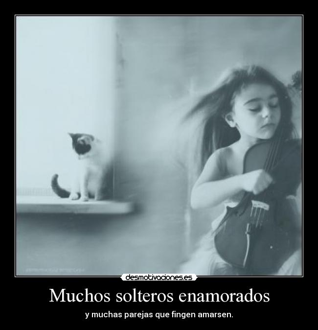 Muchos solteros enamorados - 