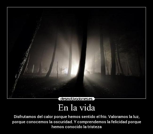 En la vida - 