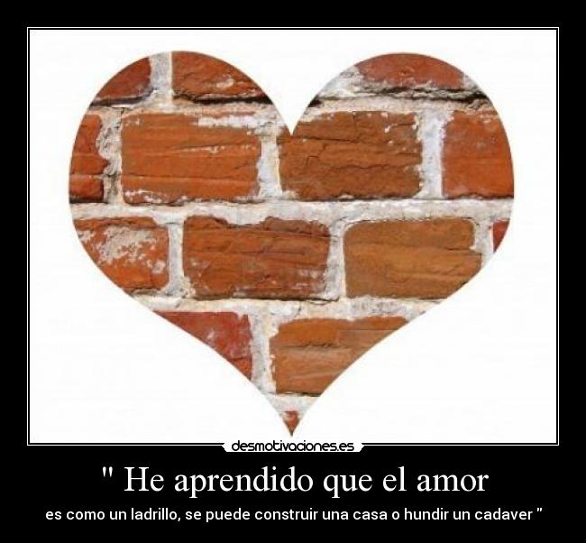 carteles amor aprendido que amor desmotivaciones