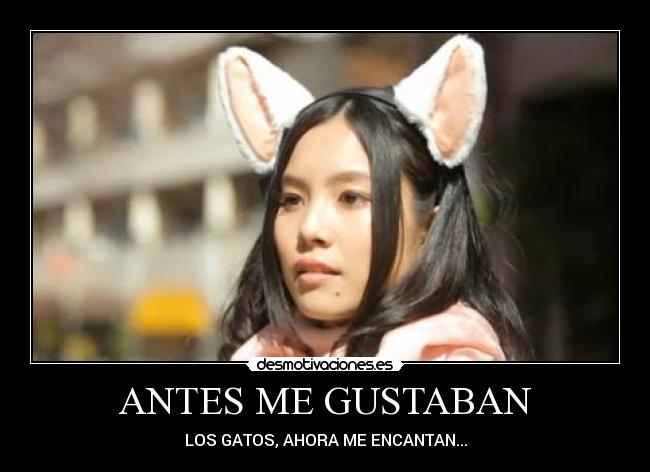 ANTES ME GUSTABAN - LOS GATOS, AHORA ME ENCANTAN...