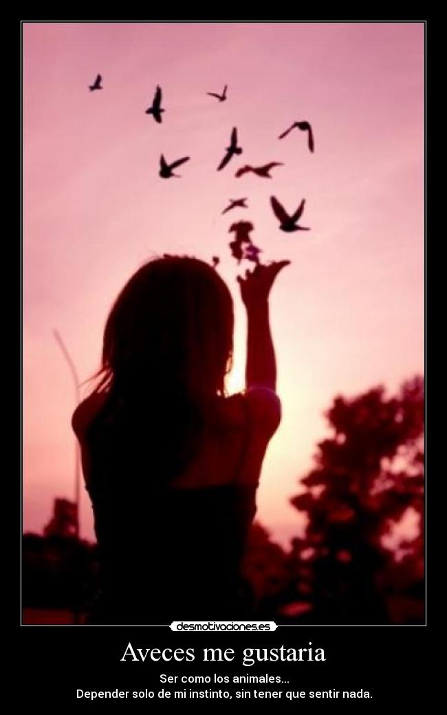 Aveces me gustaria - 