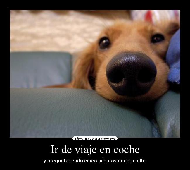 Ir de viaje en coche - y preguntar cada cinco minutos cuánto falta.