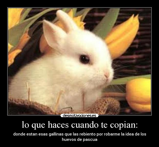 lo que haces cuando te copian: - donde estan esas gallinas que las rebiento por robarme la idea de los
huevos de pascua