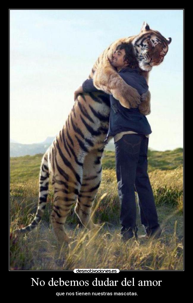 No debemos dudar del amor - 