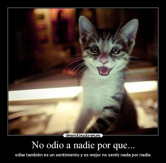carteles odio gato desmotivaciones