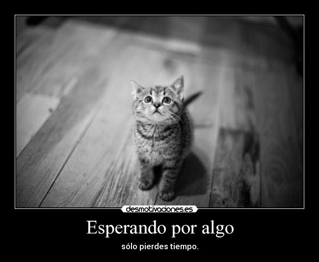 carteles alalala tiempo vuelveeeee desmotivaciones