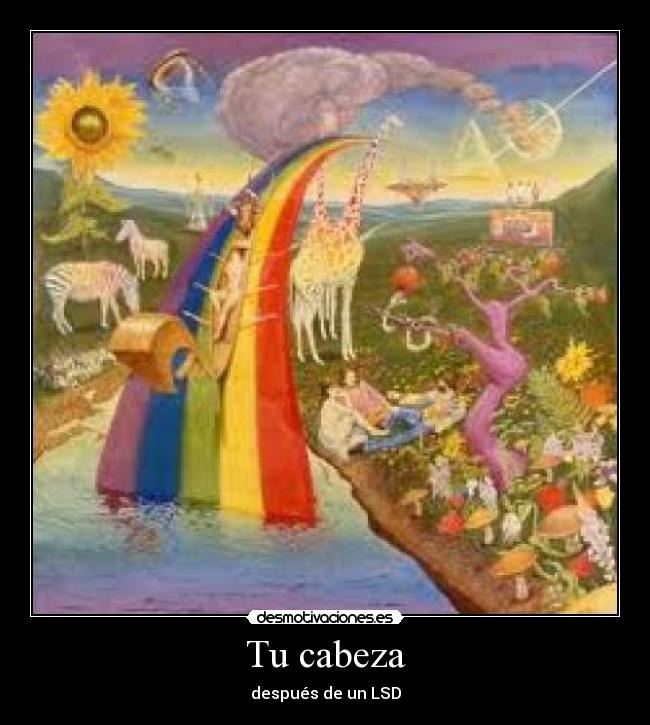 Tu cabeza - después de un LSD