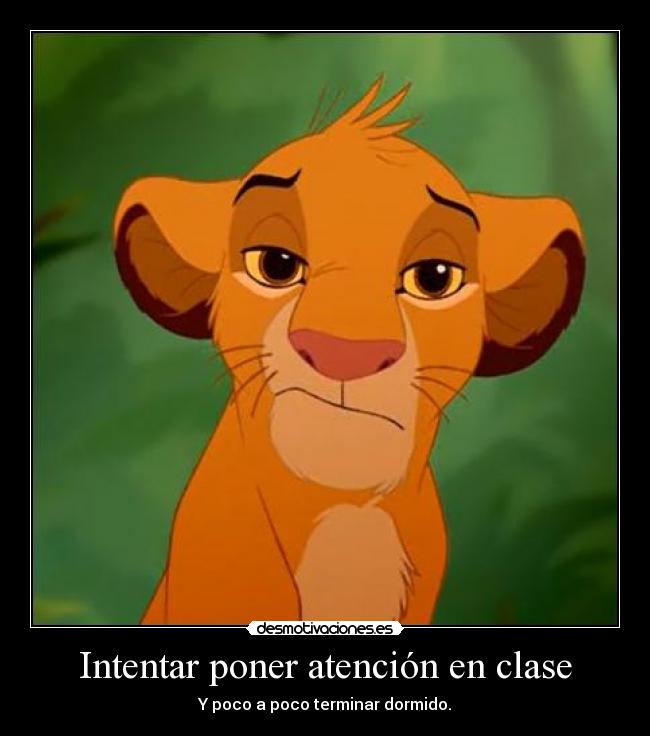 carteles gato intruders crazyclub clanreyleon sueno voy dormir desmotivaciones