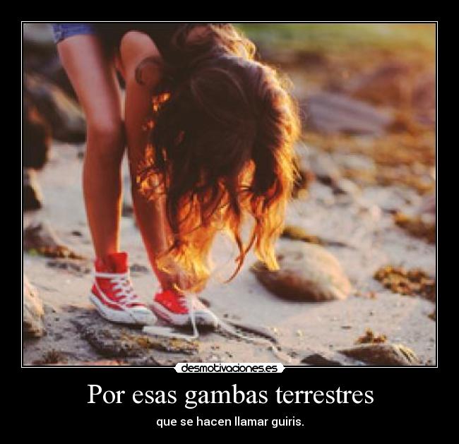 Por esas gambas terrestres -