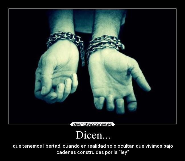 carteles leyes desmotivaciones