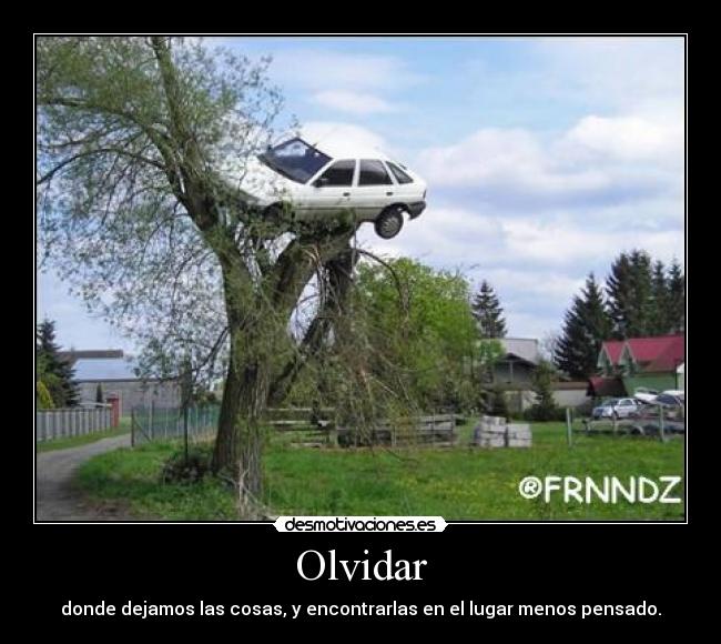 Olvidar - donde dejamos las cosas, y encontrarlas en el lugar menos pensado.