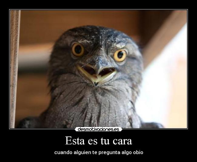 carteles kiarita1566 desmotivaciones