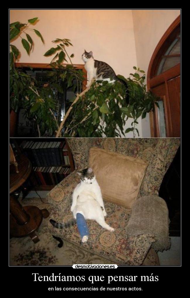 Tendríamos que pensar más -