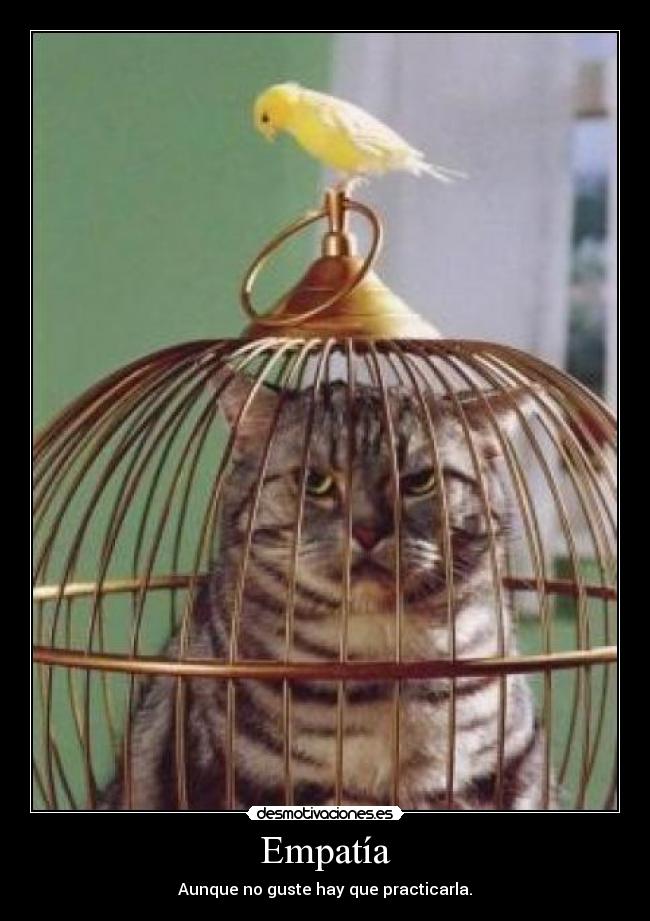 Empatía -