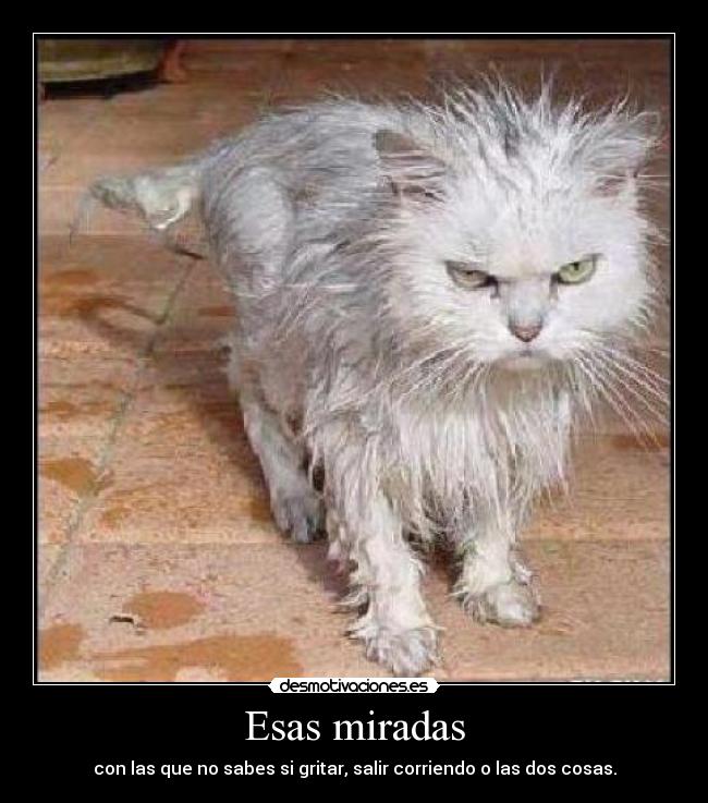 Esas miradas - con las que no sabes si gritar, salir corriendo o las dos cosas.